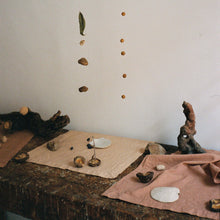 Load image into Gallery viewer, Placemat set in Cigar