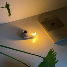 Load and play video in Gallery viewer, Olive Oil Lamp