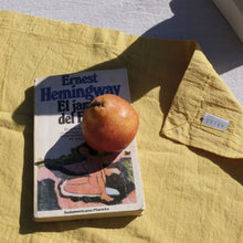 Load image into Gallery viewer, Placemat set in Ambar