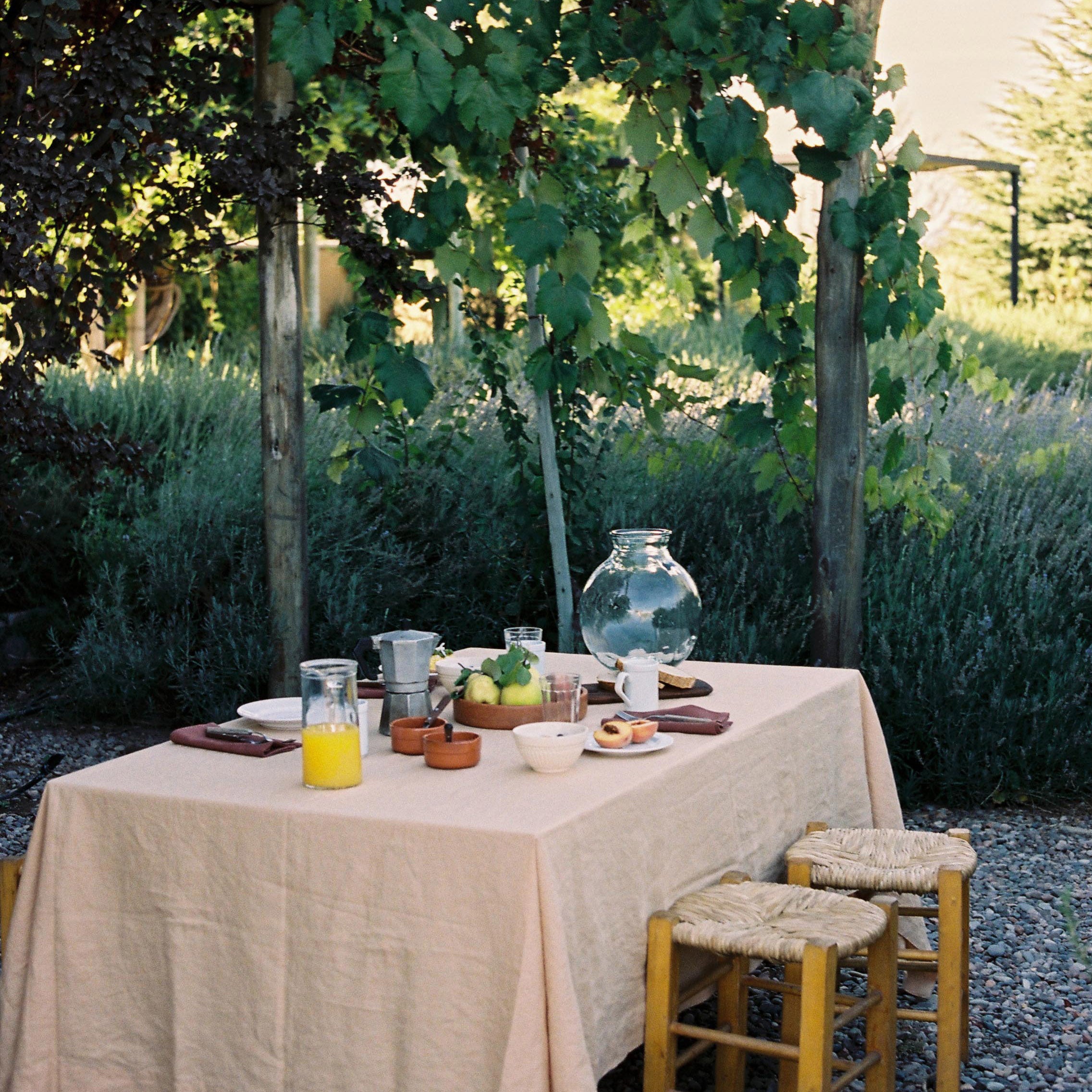 Tablecloth in Nut